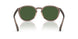 631371 - Brown - Bottle Green