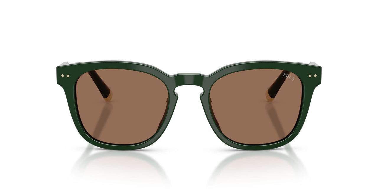 614073 - Green - Dark Brown