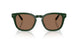 614073 - Green - Dark Brown