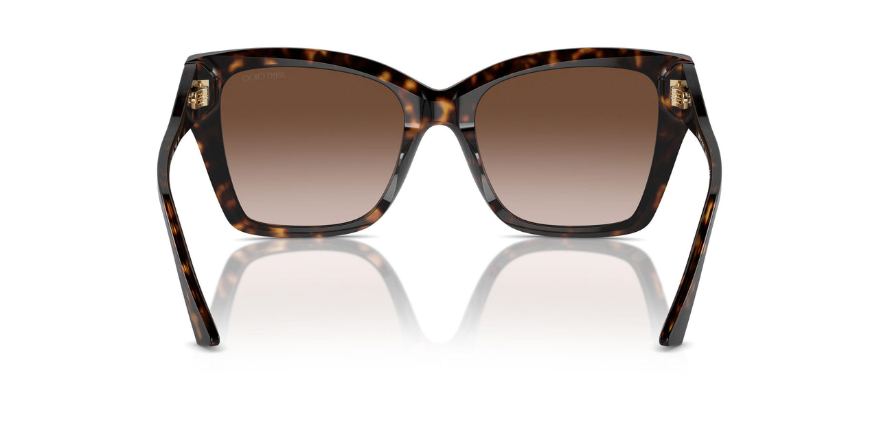 500213 - Tortoise - Gradient Brown