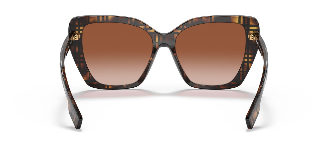 398213 - Brown - Brown Gradient