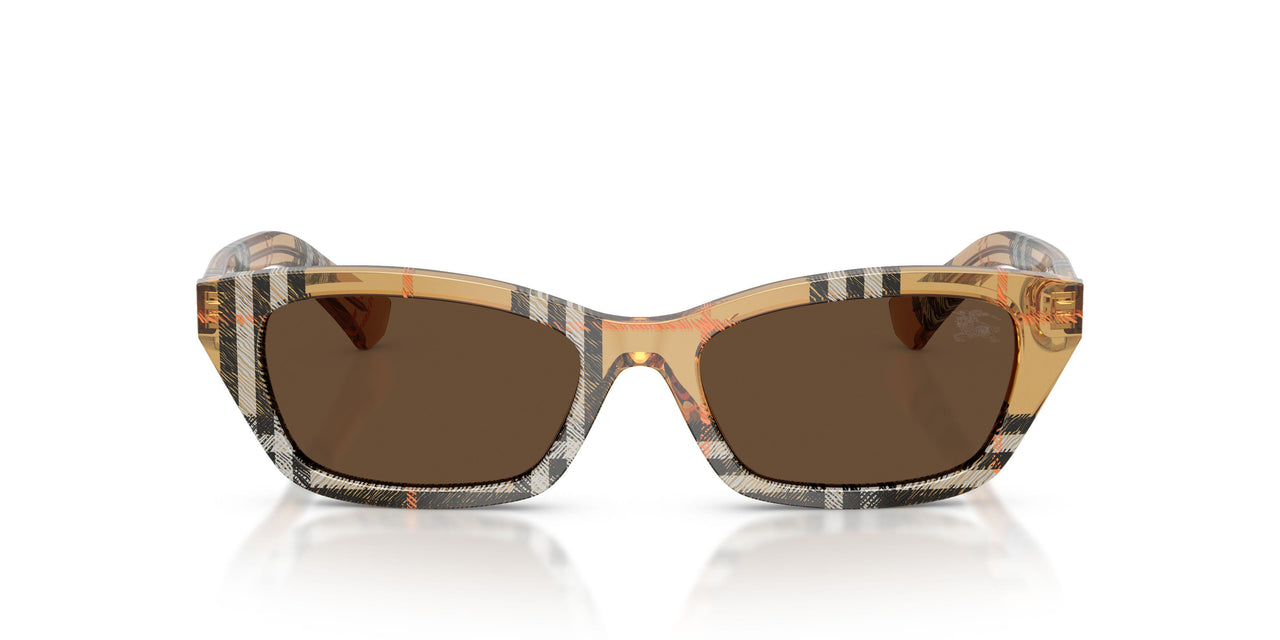 416373 - Brown - Dark Brown