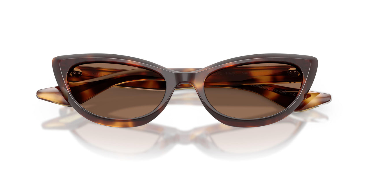 100773 - Tortoise - Brown