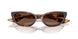 100773 - Tortoise - Brown