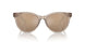 83447P - Brown - Brown Mirror Gold