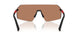 1BO20D - Black - Solid Brown