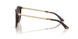 500213 - Tortoise - Gradient Brown