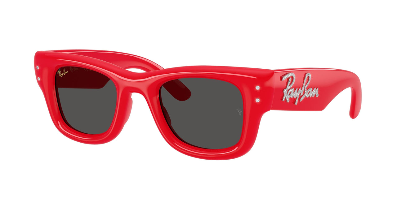 Ray-Ban Wayfarer Puffer 4940B Sunglasses