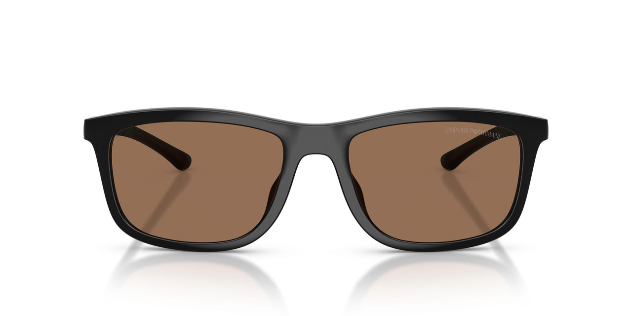 501773 - Black - Dark Brown