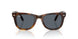 710/R5 - Tortoise - Blue