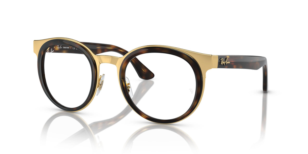 001/M1 - Tortoise - Clear/green