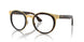 001/M1 - Tortoise - Clear/green