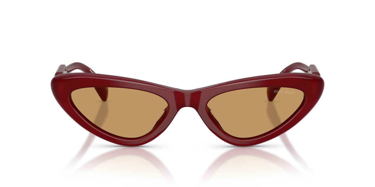 21I10Y - Violet - Brown