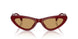 21I10Y - Violet - Brown