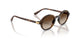 W65613 - Brown - Gradient Brown