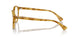 618573 - Tortoise - Brown