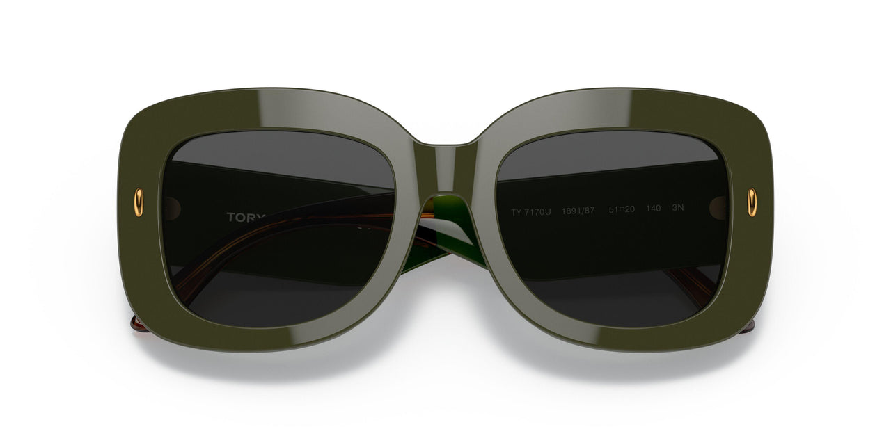189187 - Green - Solid Grey