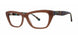 MNKTLTRTS - Mink/Teal Tortoise