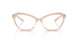 2034 - Brown