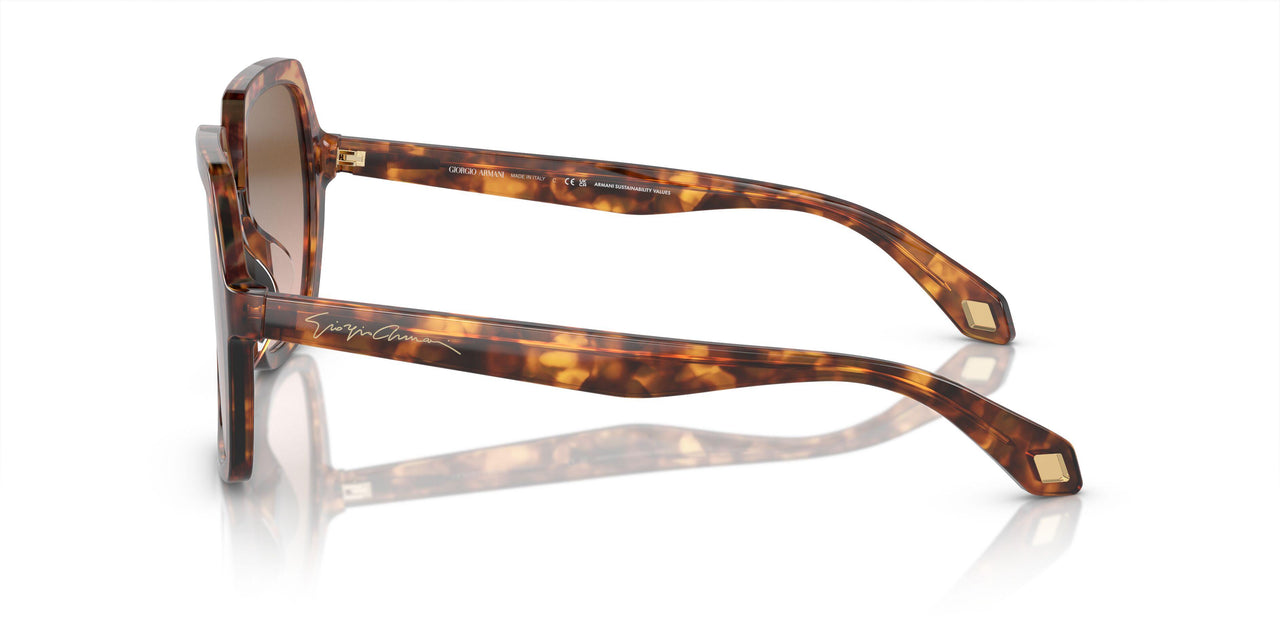 603351 - Brown - Brown Gradient