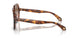 603351 - Brown - Brown Gradient