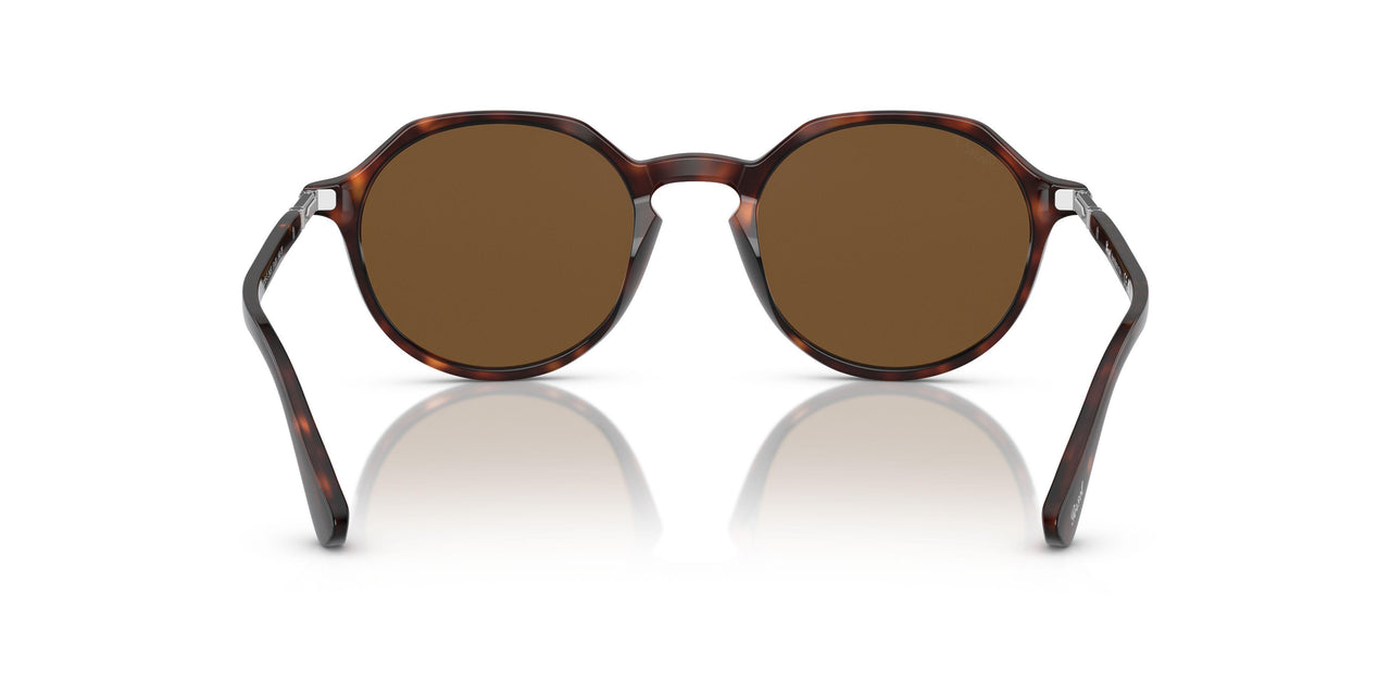 24/57 - Havana - Polar Brown