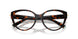 8015 - Tortoise