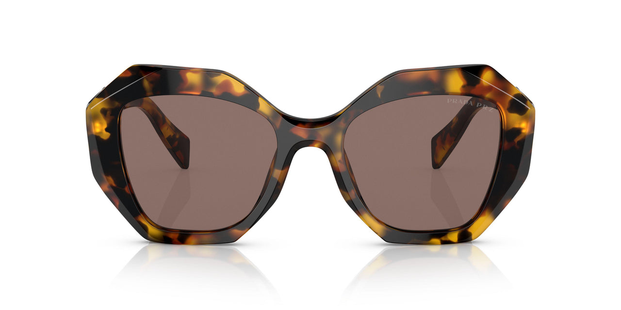 VAU05C - Havana - Polar Light Brown