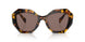 VAU05C - Havana - Polar Light Brown