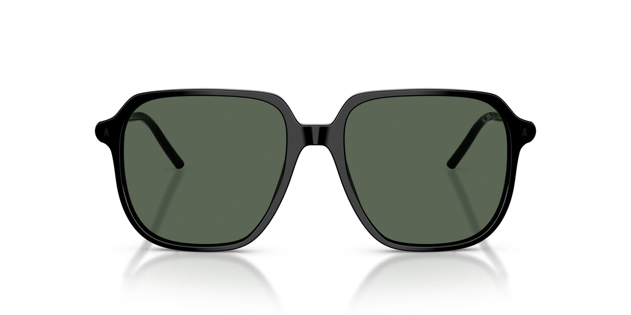300171 - Black - Dark Green Solid
