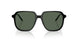 300171 - Black - Dark Green Solid
