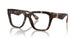3002 - Brown