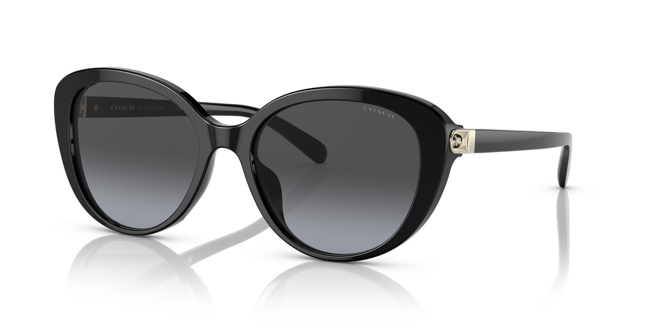 50028G - Black - Grey Gradient