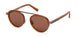 ZEGNA 0242 Sunglasses