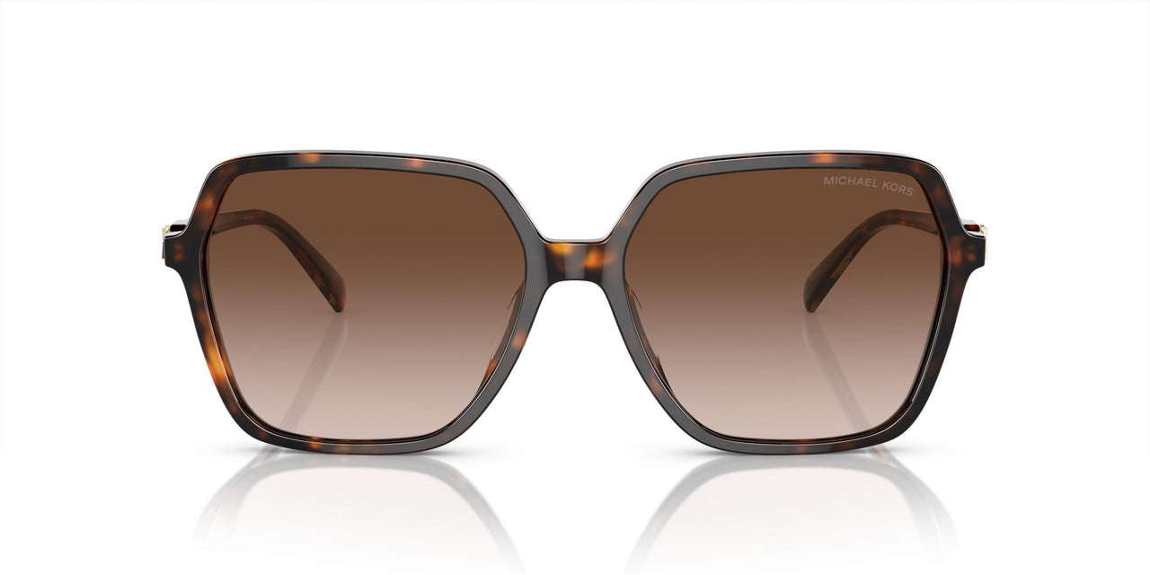 300613 - Tortoise - Brown Gradient