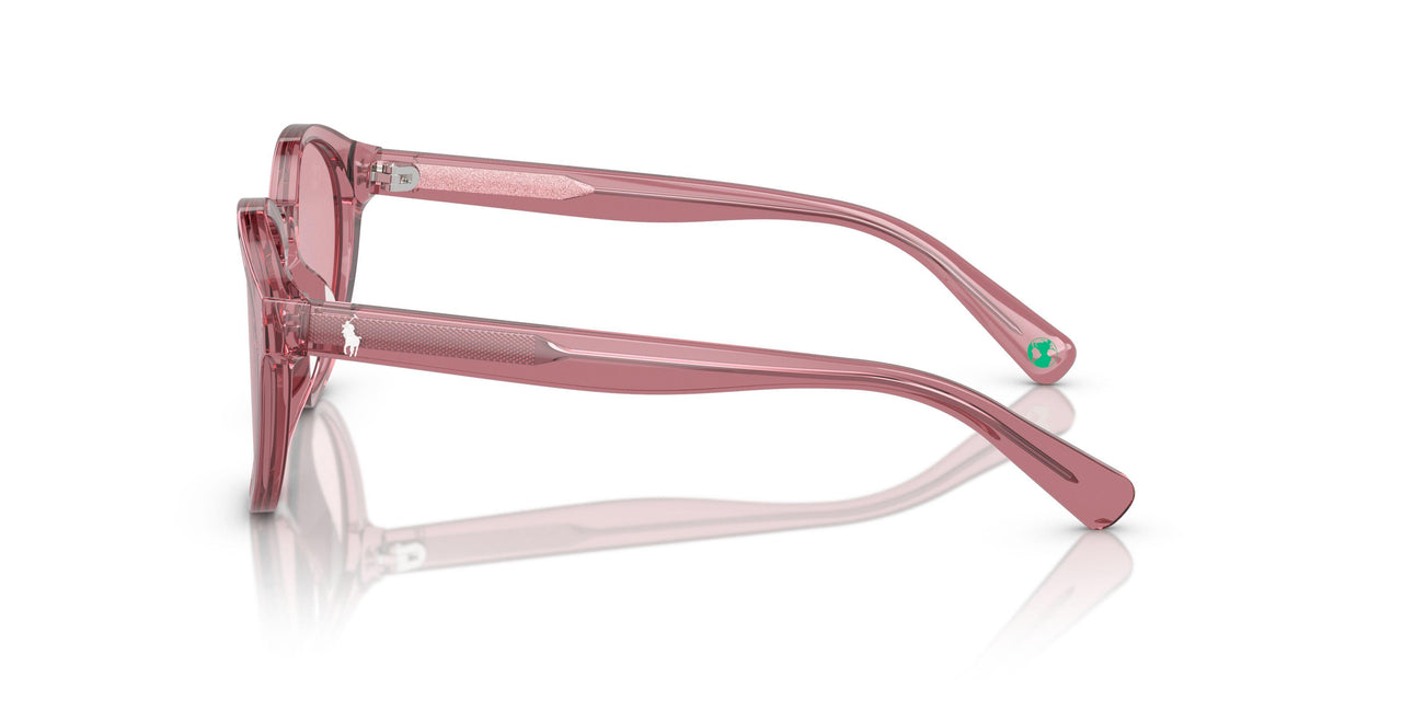 522084 - Pink - Rose