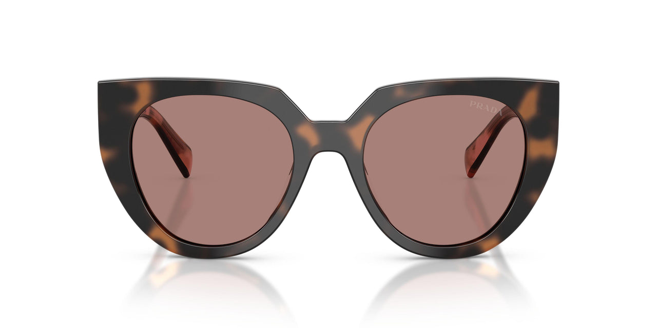 23A60B - Tortoise - Light Brown