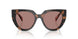 23A60B - Tortoise - Light Brown