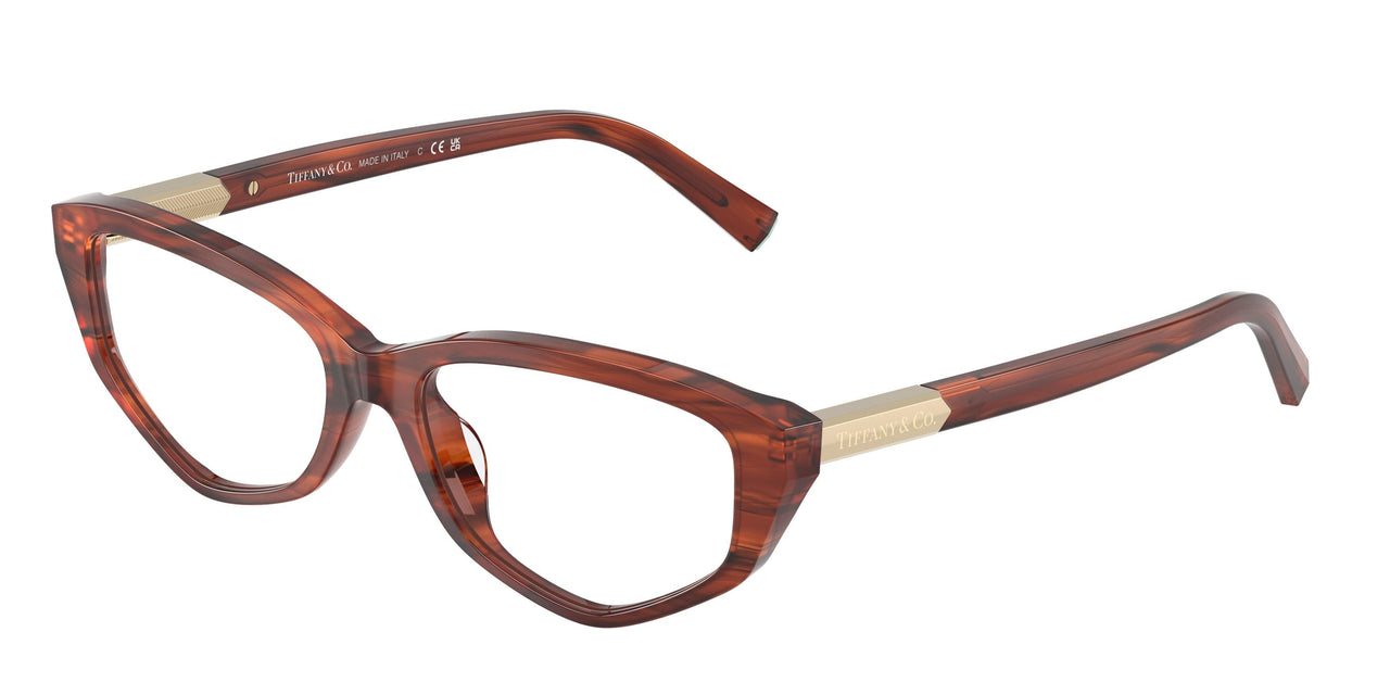 8440 - Tortoise