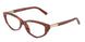 8440 - Tortoise