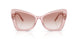 322613 - Pink - Clear Gradient Brown
