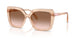 106313 - Brown - Brown Gradient