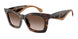 502613 - Tortoise - Brown Gradient