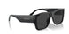 701/48 - Black - Polarized Grey