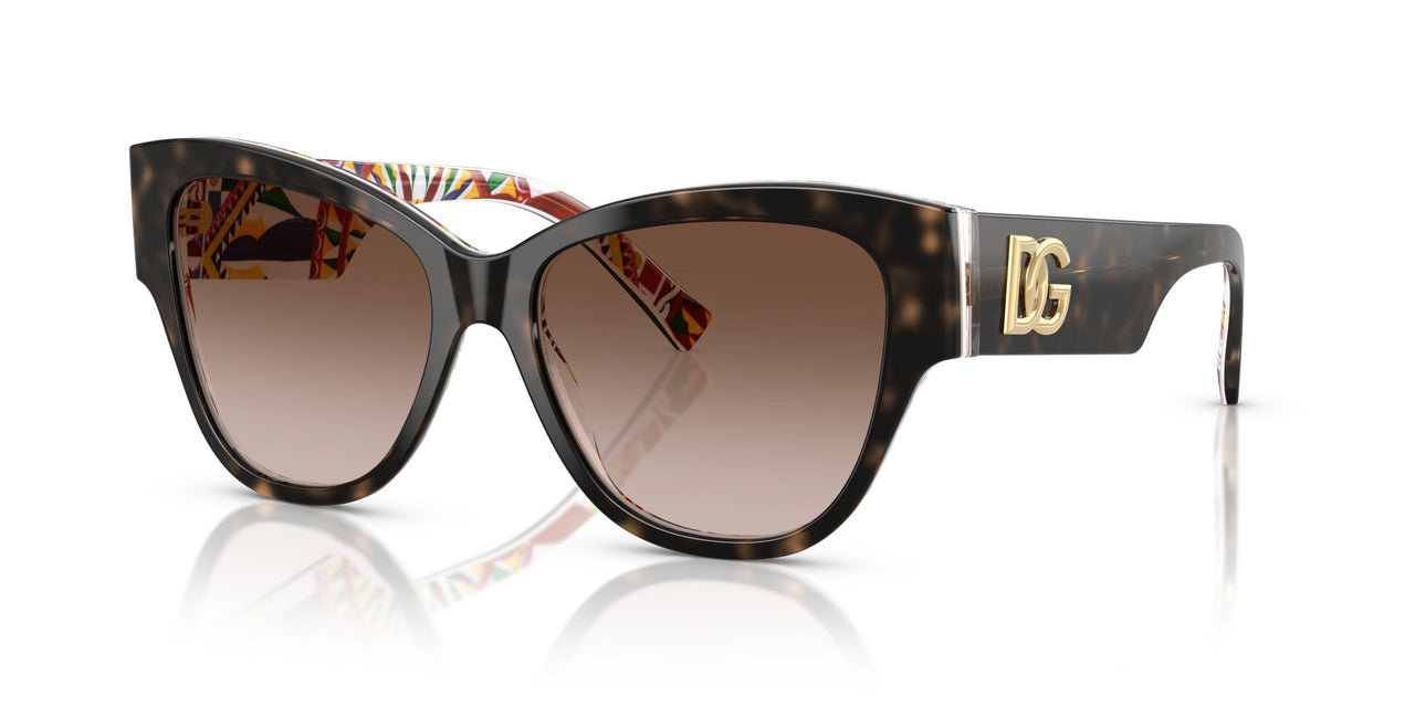 321713 - Tortoise - Brown Gradient