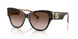 321713 - Tortoise - Brown Gradient
