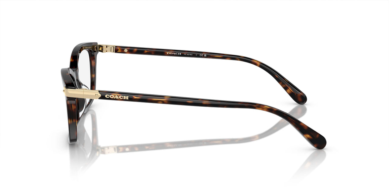 5120 - Tortoise