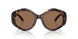 196473 - Tortoise - Brown