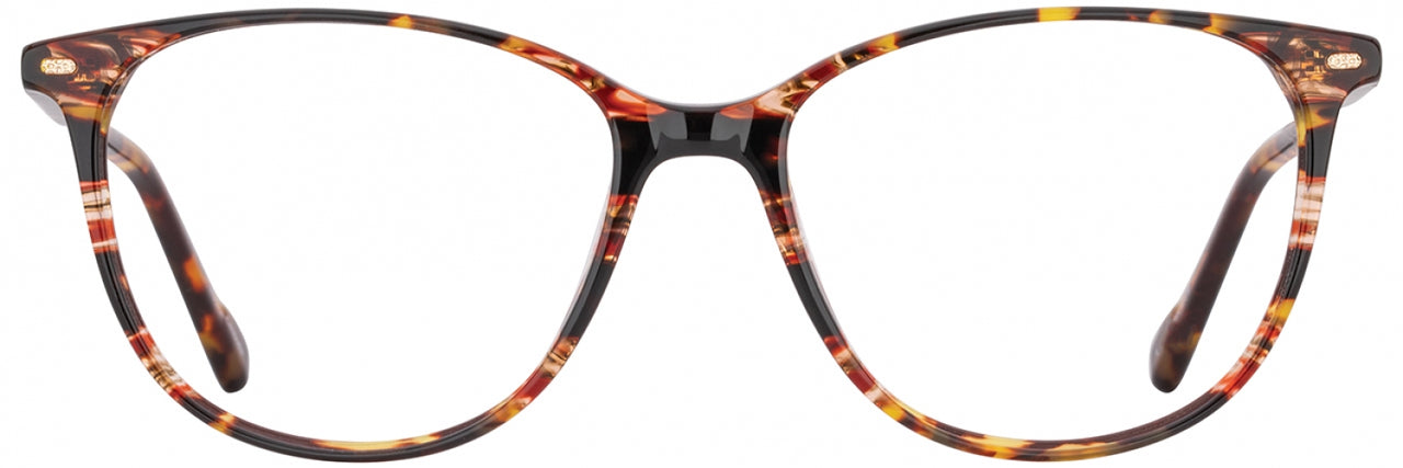 3 - Apricot / Tortoise