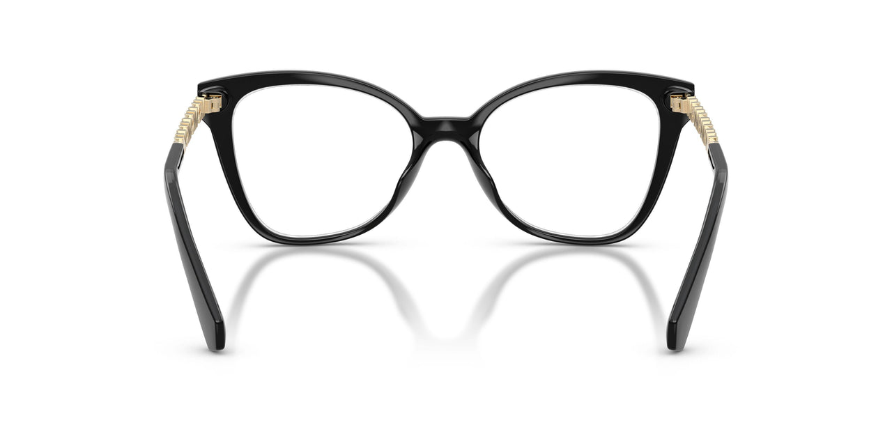 3005 - Black